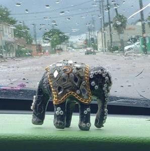 Meet your Posher, Vena